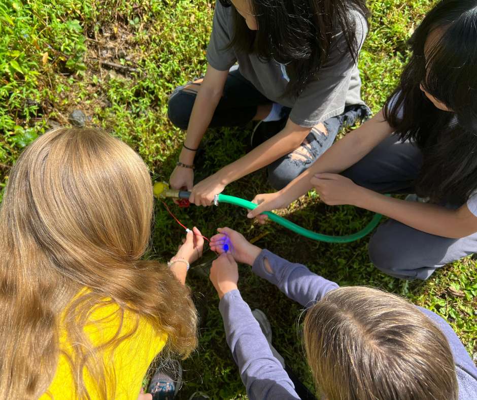 A group of people sitting on the ground holding plants.