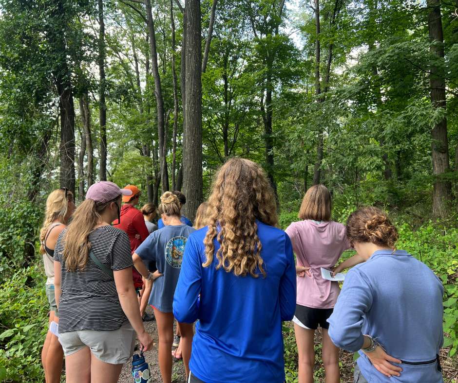 A group of people standing in the woods