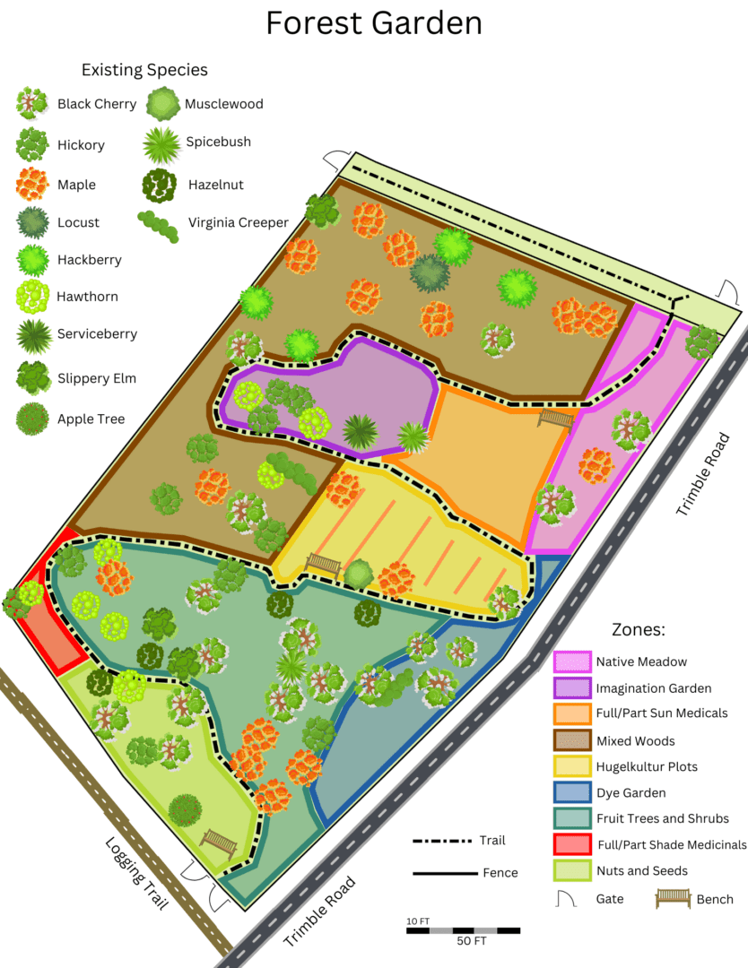 Forest garden map with different zones.